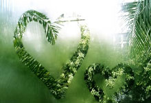 雷速体育-巴萨险胜比利时，乔瓦尼·雷纳打破历史纪录的简单介绍