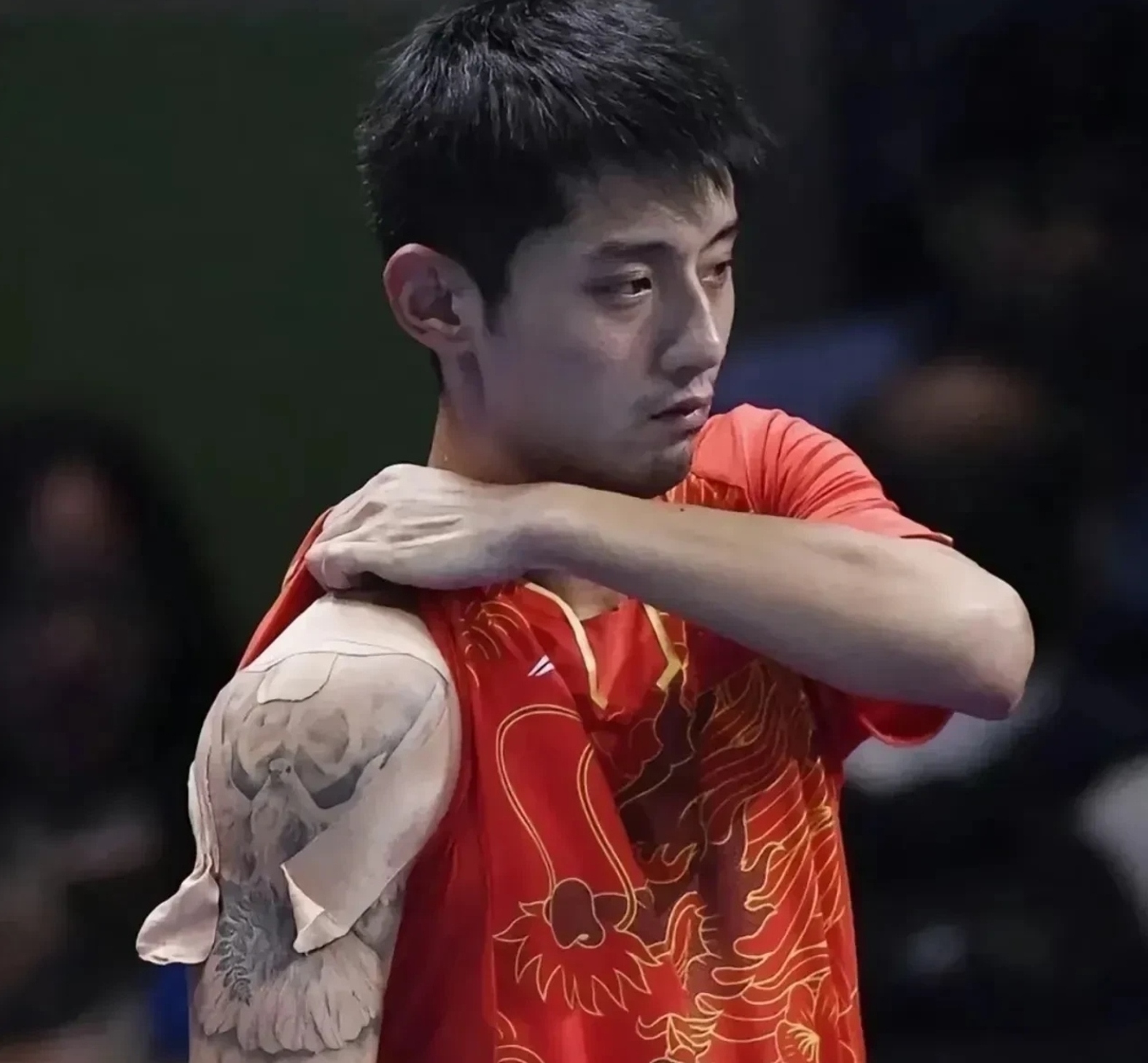 F1赛车赛场上张继科再创辉煌的简单介绍